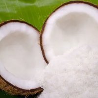 Desiccated Coconut Powder