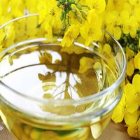Canola Oil
