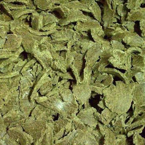 COTTON SEED MEAL