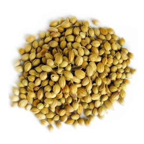 Coriander Seeds - Raw Organic Hybrid Spice Seeds , Round Shape in Yellow and Brownish Green Color with 100% Purity for Optimal Storage in Dry Place