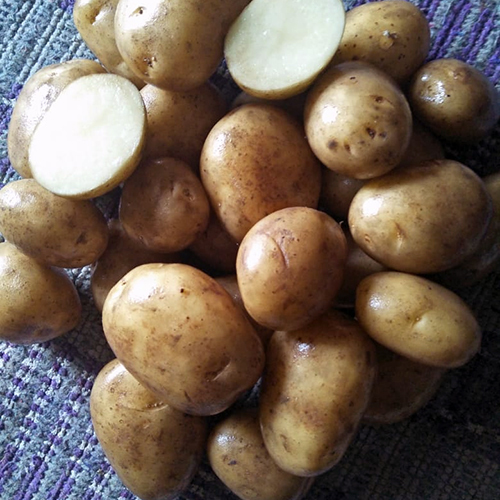Small Potato Small Potato