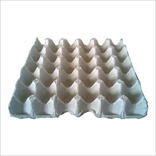 Egg Paper Tray