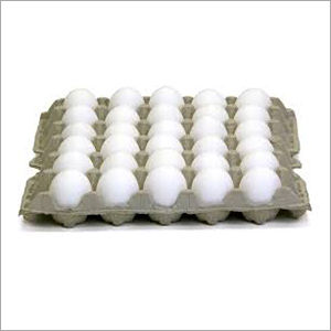 Disposable Egg Tray