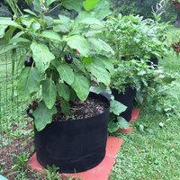 Breathing Grow Bags Fabric Grow Bags