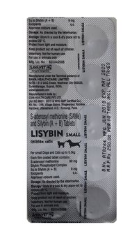 Lisybin Small S Adenosyl Methoionine 90mg Sil