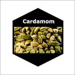 Cardamom Natural Essential Oils