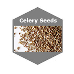Celery Seeds Natural Essential Oils