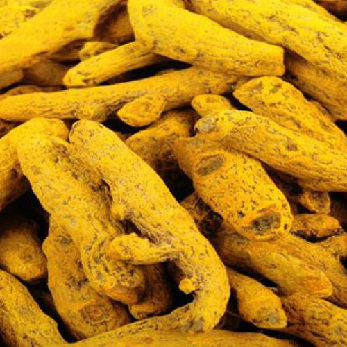 Turmeric Finger - Organic Fresh Turmeric, Yellow Color, Grade A, Solid Piece | FSSAI Certified, No Added Preservatives, Ideal for Dyes & Foods
