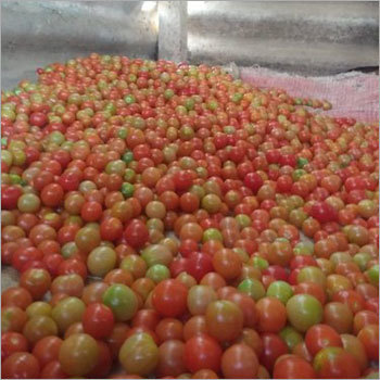Chery Tomato