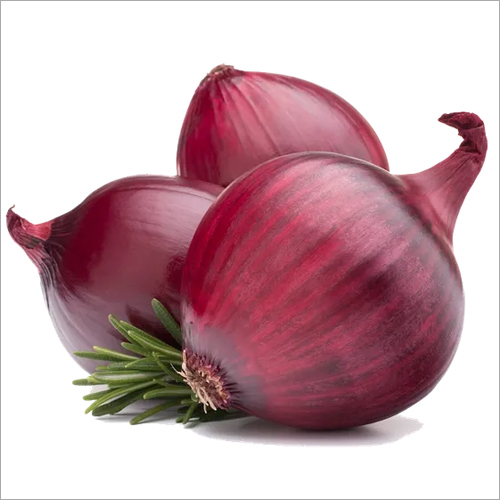 Round Red Onion