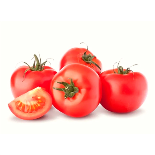 Round Fresh Tomato