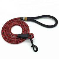 Pet Leash