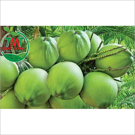 Fresh Coconut