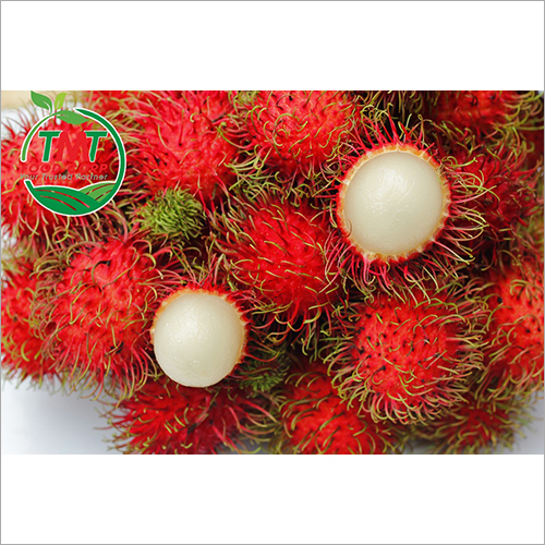 Red Fresh Rambutan