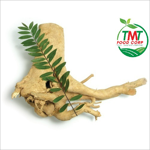 Tongkat Ali Root - Premium Herbal Extract for Adult Wellness | Boosts Muscle Strength, Enhances Libido, Reduces Fatigue, Supports Energy Levels, Promotes Healthy Metabolism, Improves Blood Circulation, Aids Rapid Recovery, Potential Cancer Treatment
