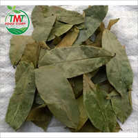 Graviola Leaves Age Group: For Adults