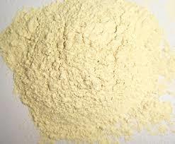 Off White Dehydrated Garlic Powder