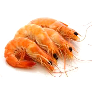 Fresh Prawns