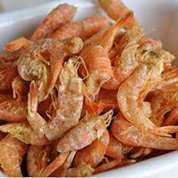 Sea Frozen Prawn