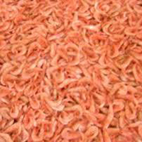 Dry Prawns