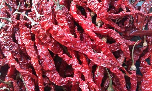 Spicy Red Chilli