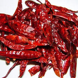 Spicy Red Chilli