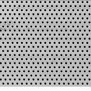 SS Perforated Sheet