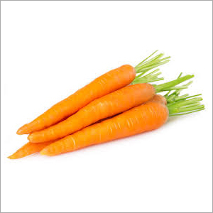 Fresh Carrot - Organic Whole Vegetable | Rich in Vitamins, Antioxidant Benefits, Enhances Digestion, Supports Immune System, Fresh for Salads and Soups, Slim Sticks for Snacking