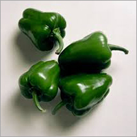 Fresh Capsicum - Organic Whole Vegetable, Vibrant Green Color, Fresh and Hygienically Grown