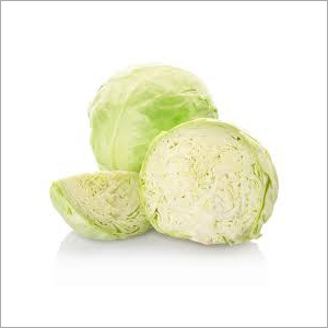 Green Fresh Cabbage