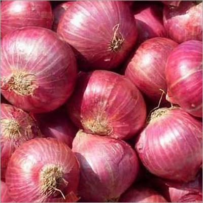 Organic Red Onions