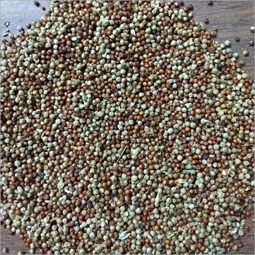 Ragi Seed Ragi Seed
