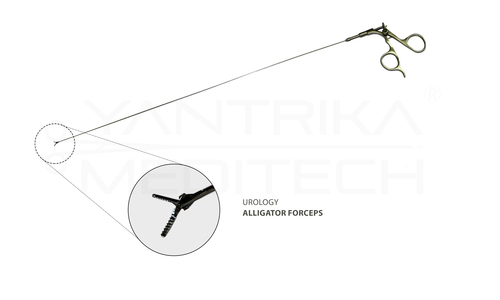 Alligator Forceps