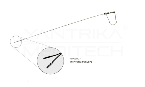 Bi-Prong Forceps