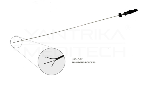 Triprong Forceps - Stainless Steel, 3FR 4FR | Autoclavable, Precise Gripping, Durable Design