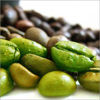 Green Chlorogenic Acid Extract