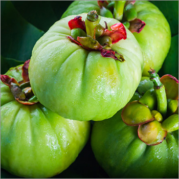 Green Garcinia Cambogia Extract