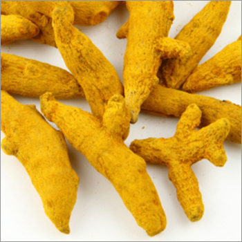 Turmeric Select Oil - 95% Pure Herbal Extract | Liquid, Anti-Allergic, Antibacterial, Antimicrobial, Diverse Applications