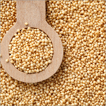 Amaranth Oil Age Group: All Age Group