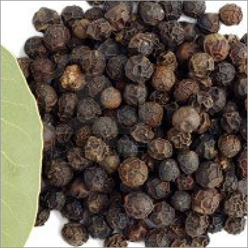 Black Pepper Extract