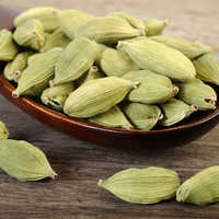 Powder Natural Flavour Cardamom Extract