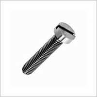 Stainless Steel Cheese Screw