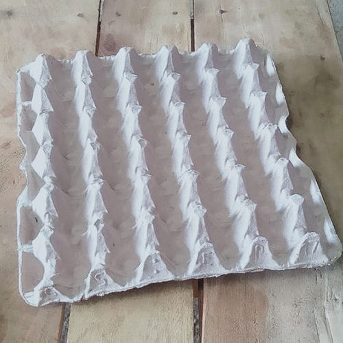 Paper Pulp Egg Tray