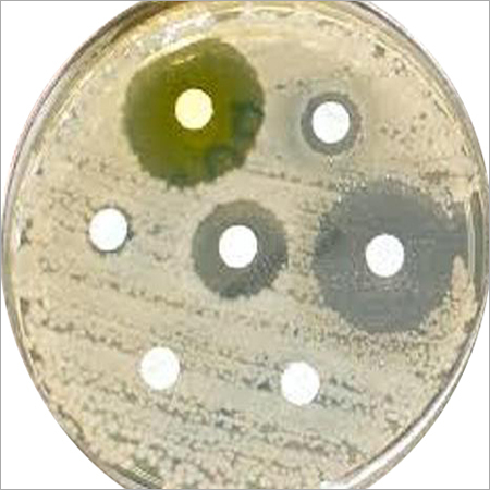 Atividade anti-bacteriana do servio testando composto