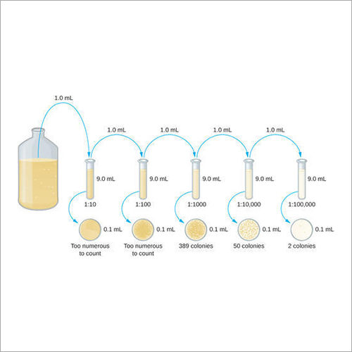 Probiotic Testing Service