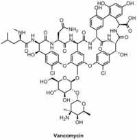 Vancomycin Assay Testing Service