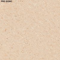 PRO SONIC