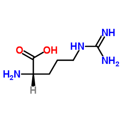 L-Arginine Amino Acid - Cas No: 74-79-3