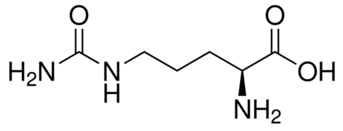 L-Citrulline Amino Acid - Cas No: 372-75-8