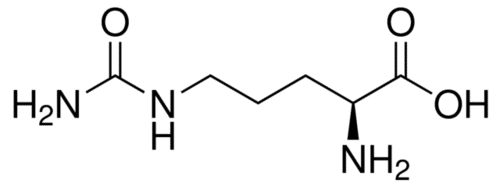 L-Citrulline